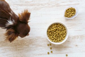 ヒューマングレードのドッグフード